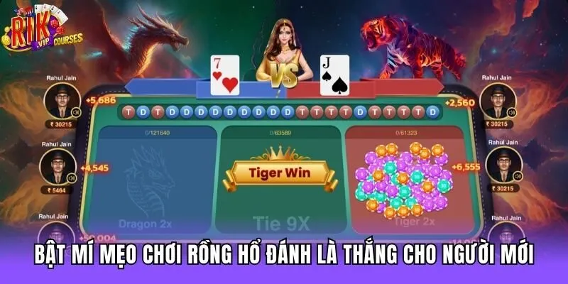 Bật mí mẹo chơi rồng hổ đánh là thắng cho người mới