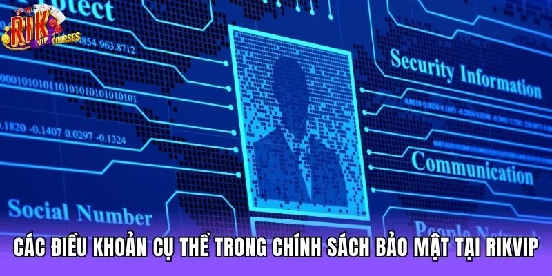 Các điều khoản cụ thể trong chính sách bảo mật tại Rikvip