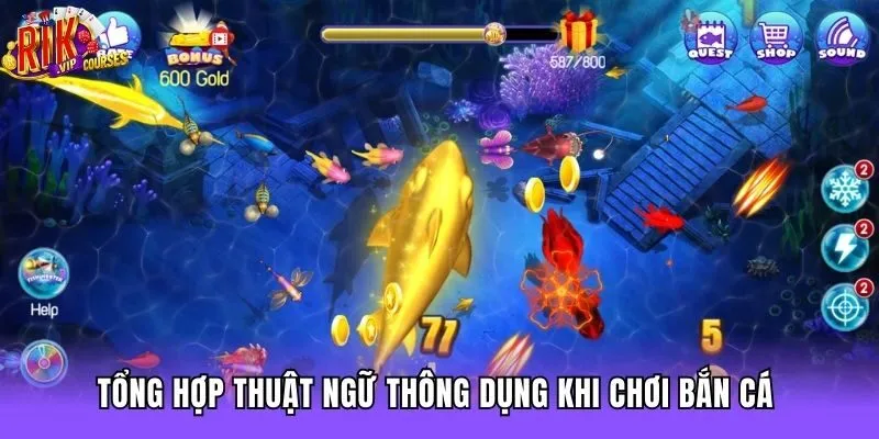 Tổng hợp thuật ngữ thông dụng khi chơi bắn cá 